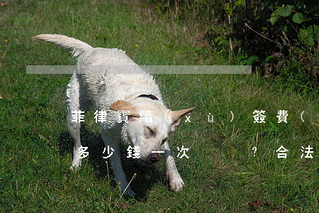 菲律賓續(xù)簽費(fèi)用全解析：多少錢一次？合法嗎？